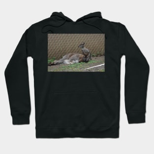 Wallaby and Joey Hoodie